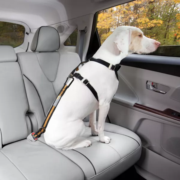 Kurgo® Seatbelt Buckle Dog Tether
