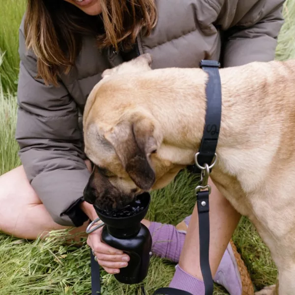 Flip Dog Travel Bottle