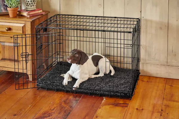 Orvis Super-Absorbent Crate Pad
