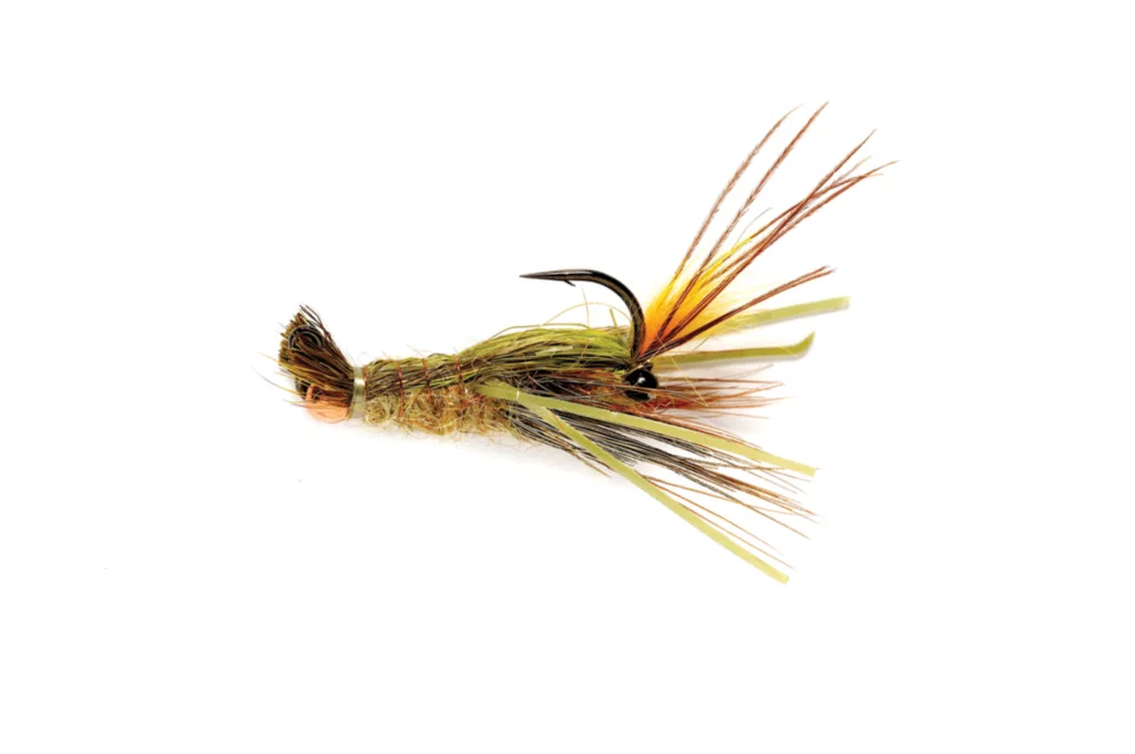 May's Clearwater Crayfish