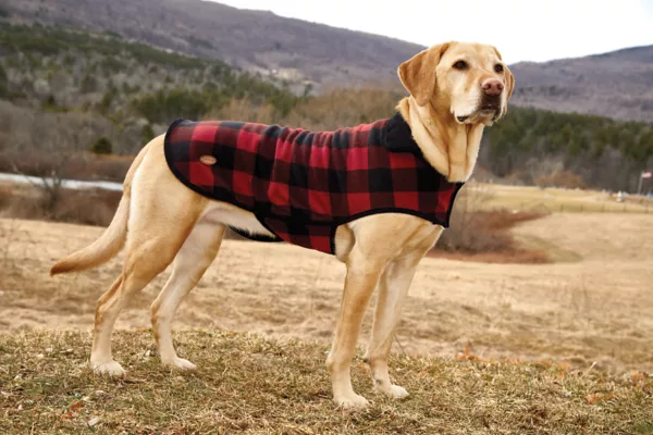 Buffalo Check Dog Jacket