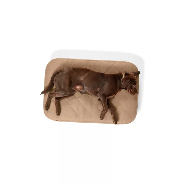 Orvis RecoveryZone® ToughChew® Lounger Dog Bed