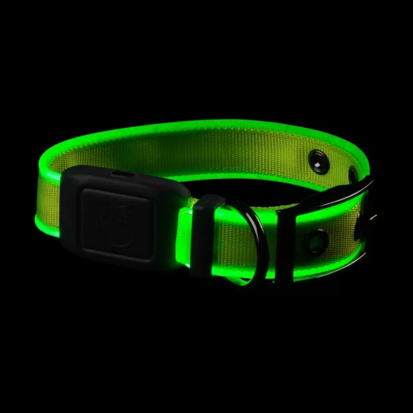 NiteDog® Rechargeable LED Dog Collar
