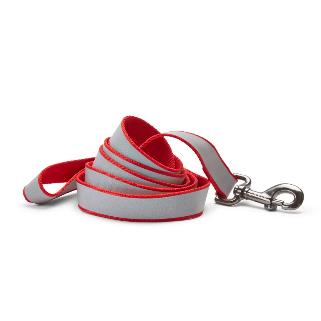 Reflective 6' Leash