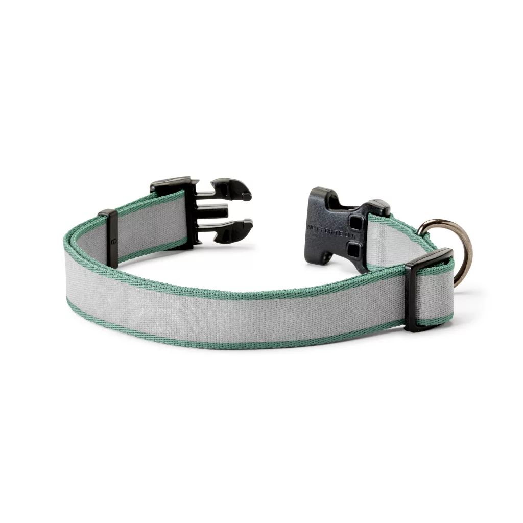 Personalized Reflective Collar