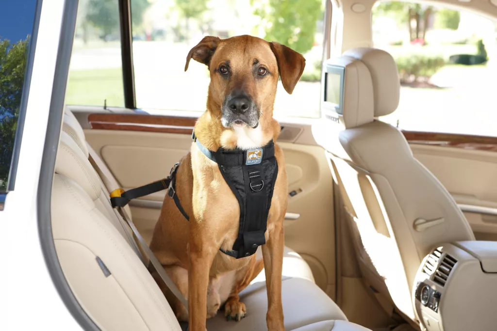 Tru-Fit Smart Harness Car Restraint