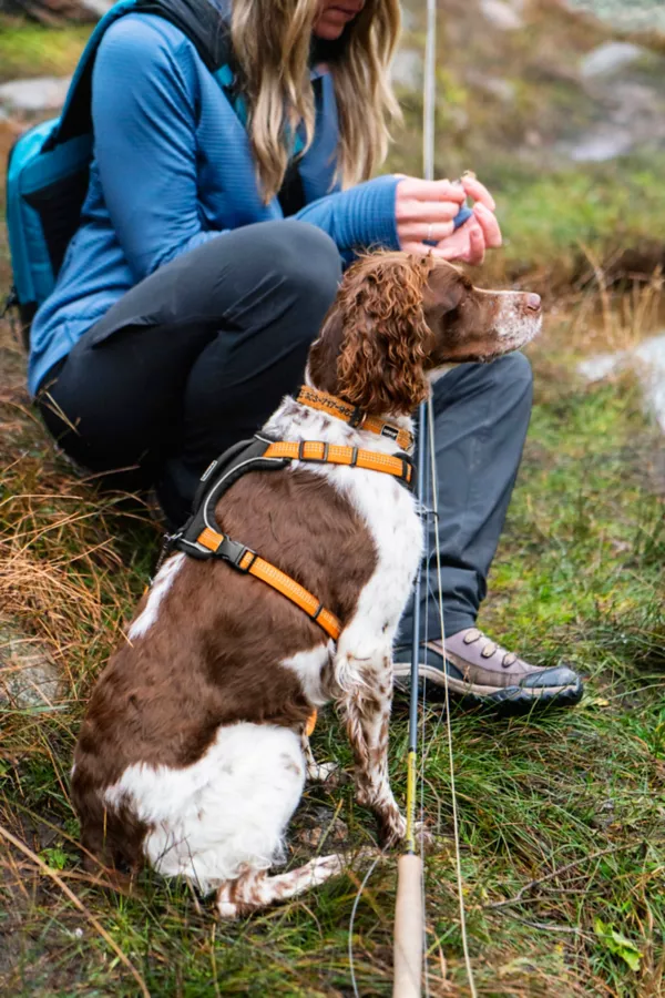 Tough Trail® Dog Collar