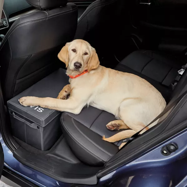 Backseat Extender with Storage