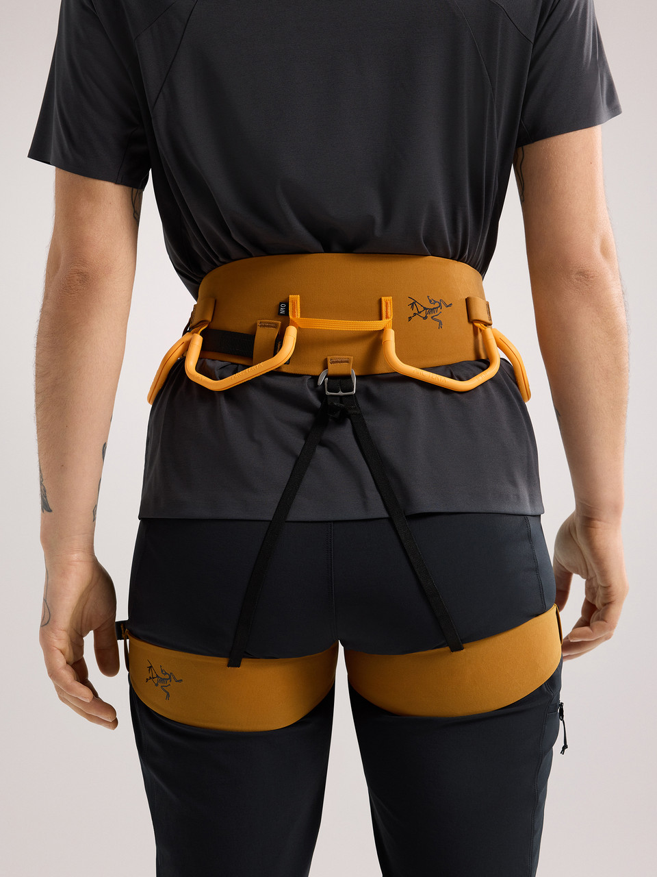 Arc'teryx AR 385a Harness - Women's