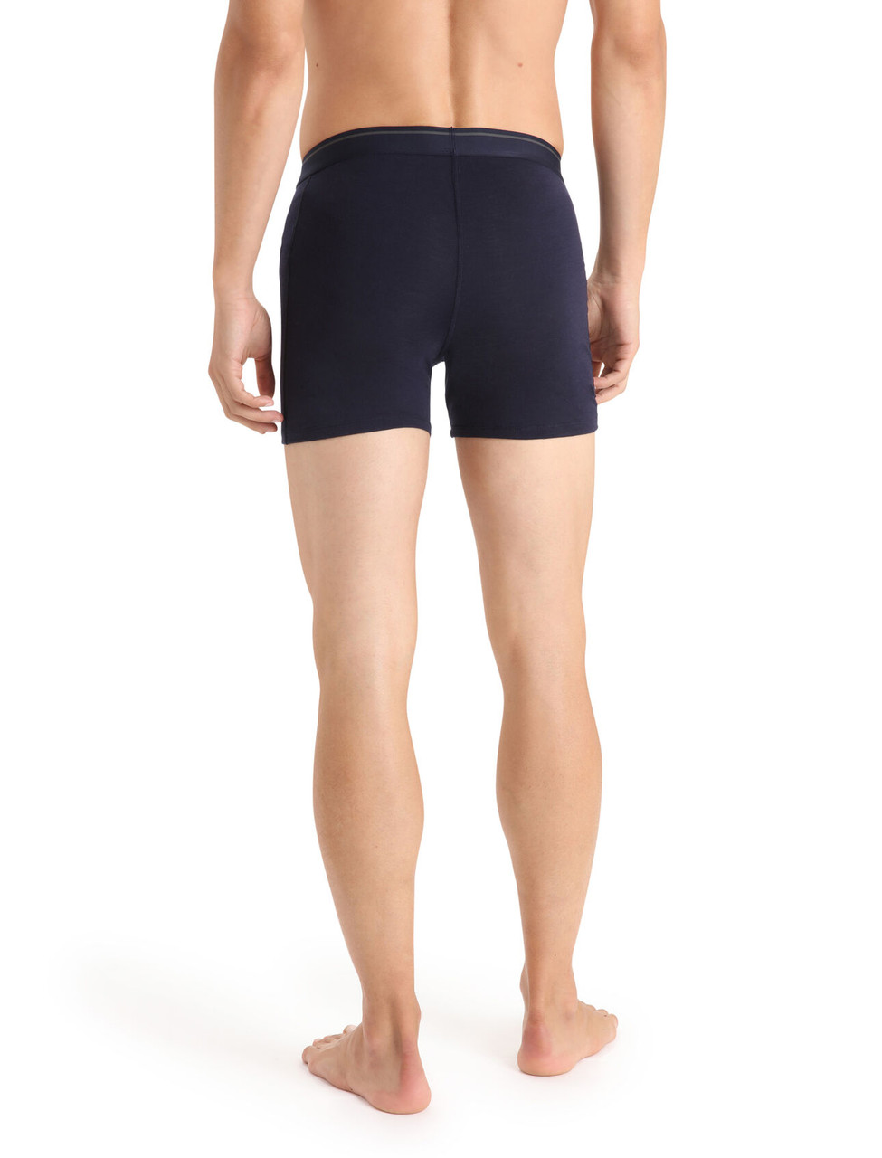 icebreaker Anatomica Boxers - Men's