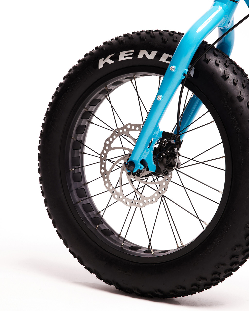 Moose Bicycle Fat Moose 20in Bicycle - Youths