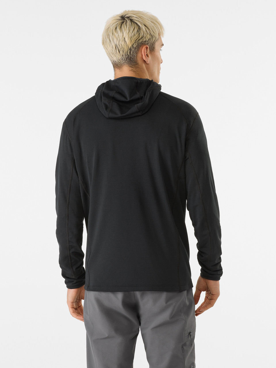 Arc'teryx Delta Half Zip Hoody - Men's