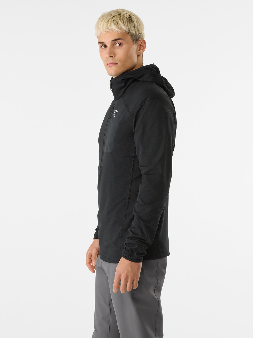 Arc'teryx Delta Half Zip Hoody - Men's