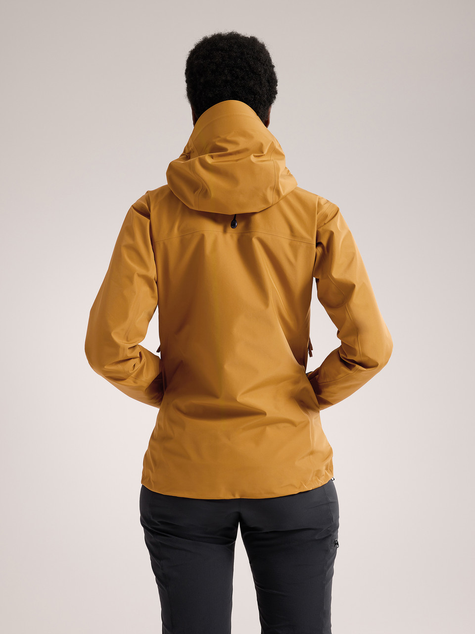 Arc'teryx Beta LT Jacket - Women's