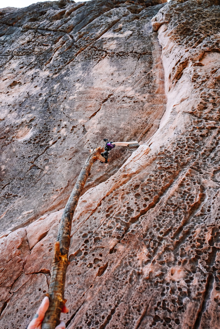 Flashed Lobster Claw Stick Brush Adapter