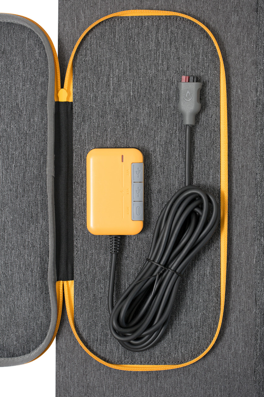 BioLite SolarPanel 100