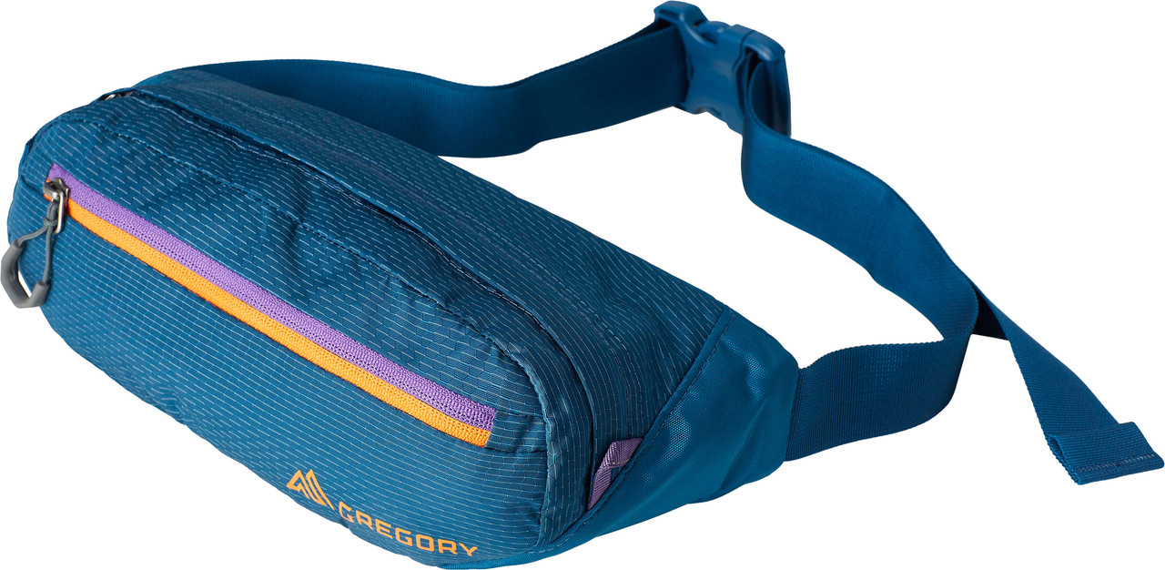 Gregory Nano Mini Fanny Pack - Unisex