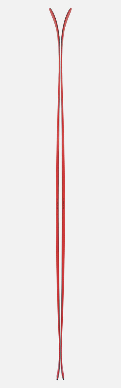 Black Crows Camox Freebird 95 Skis - Unisex