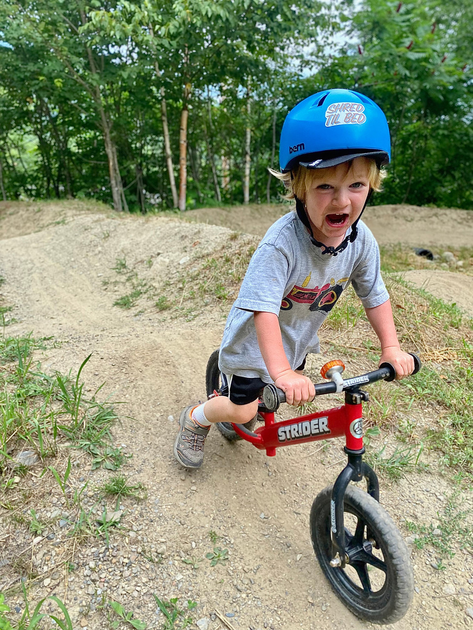 Strider 12 Classic Balance Bike - Children