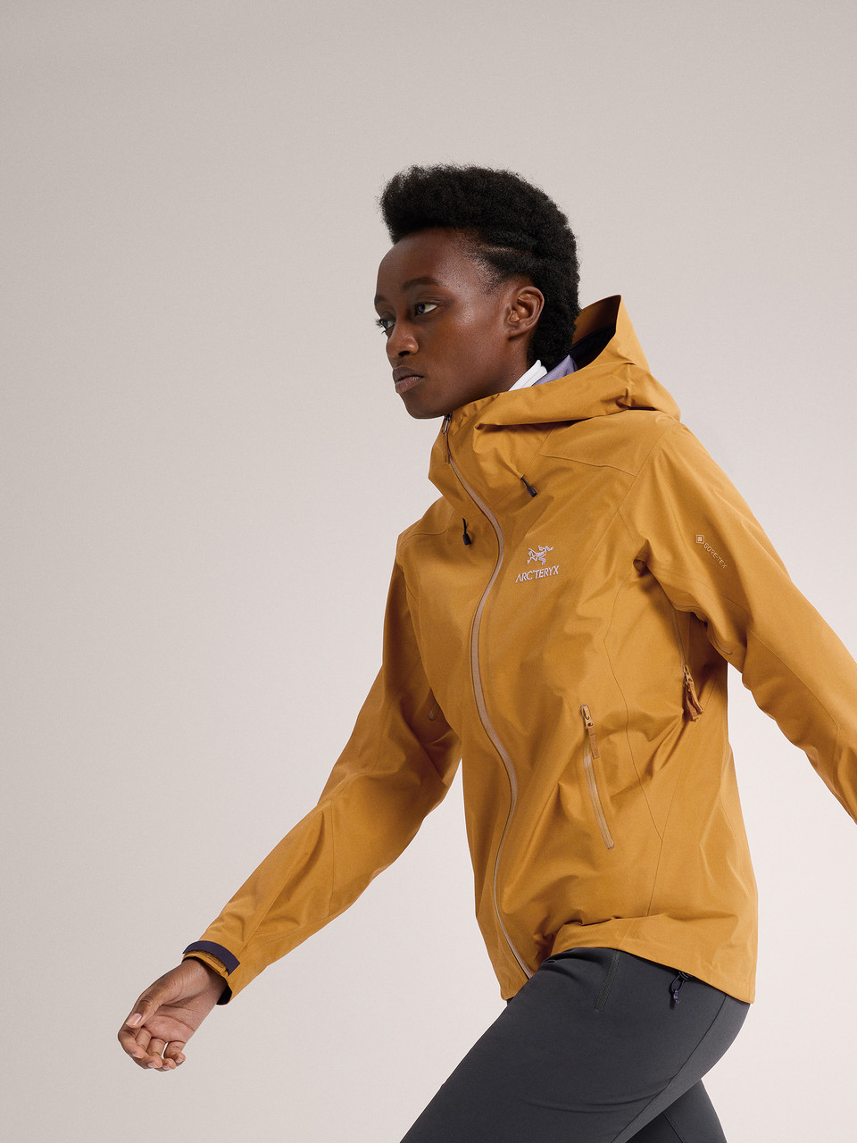 Arc'teryx Beta LT Jacket - Women's