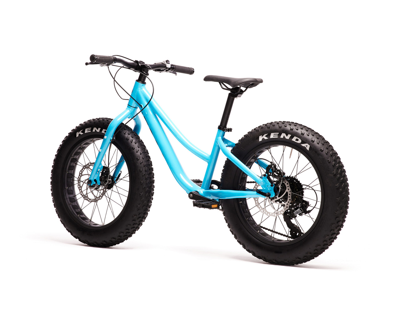 Moose Bicycle Fat Moose 20in Bicycle - Youths