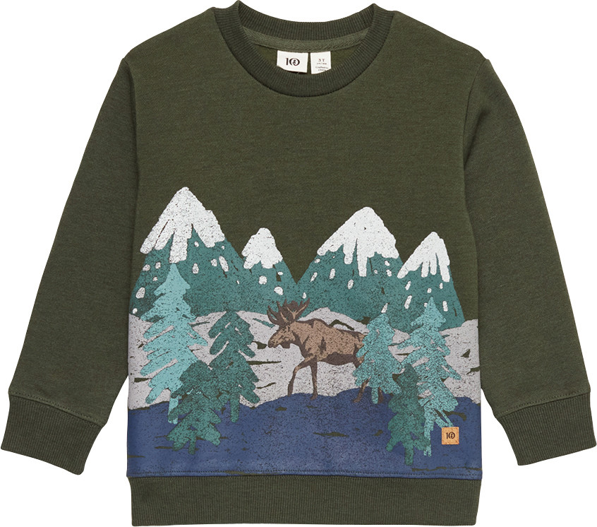 tentree Winter Scenic Crew - Children