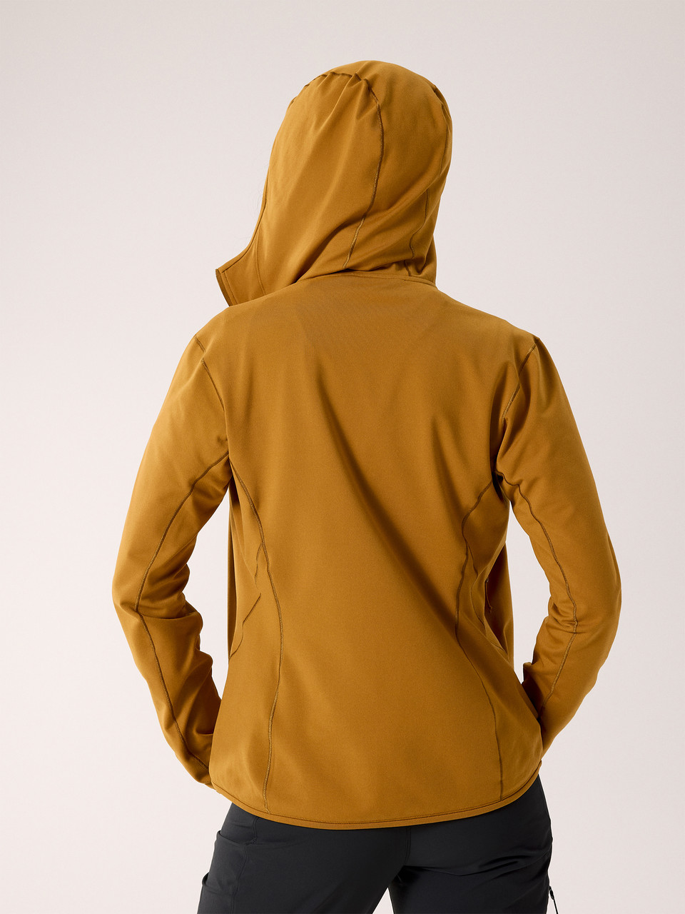 Arc'teryx Kyanite LT Hoody - Women's