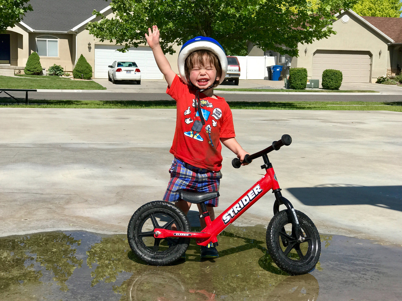 Strider 12 Classic Balance Bike - Children