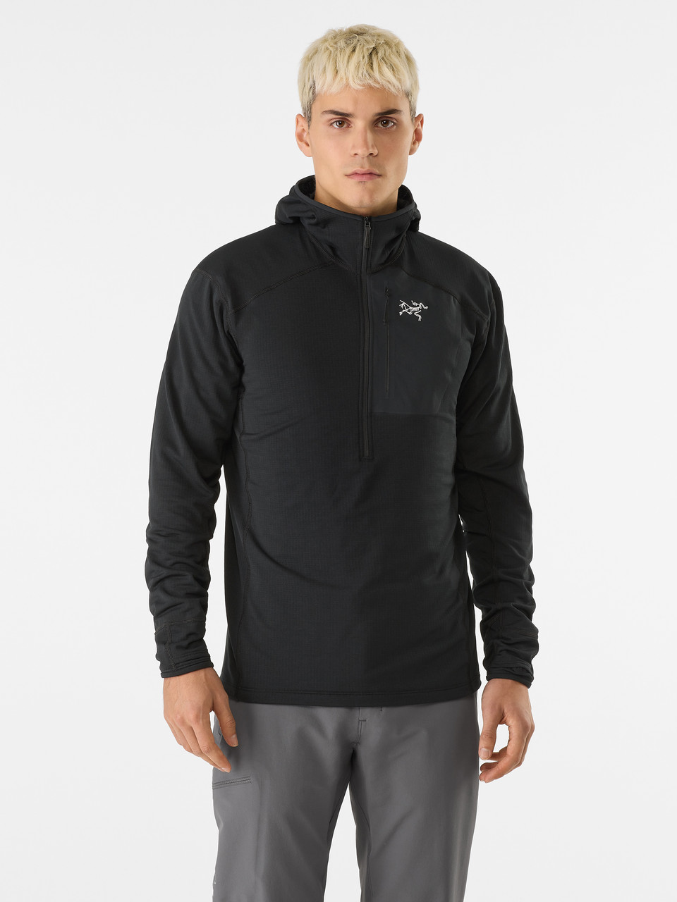 Arc'teryx Delta Half Zip Hoody - Men's