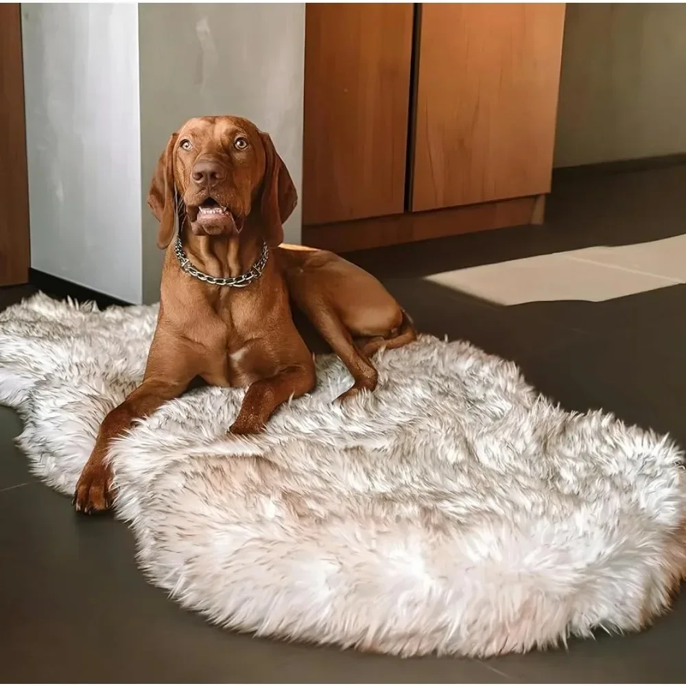 CozyCloud Orthopedic Memory Foam Dog Bed
