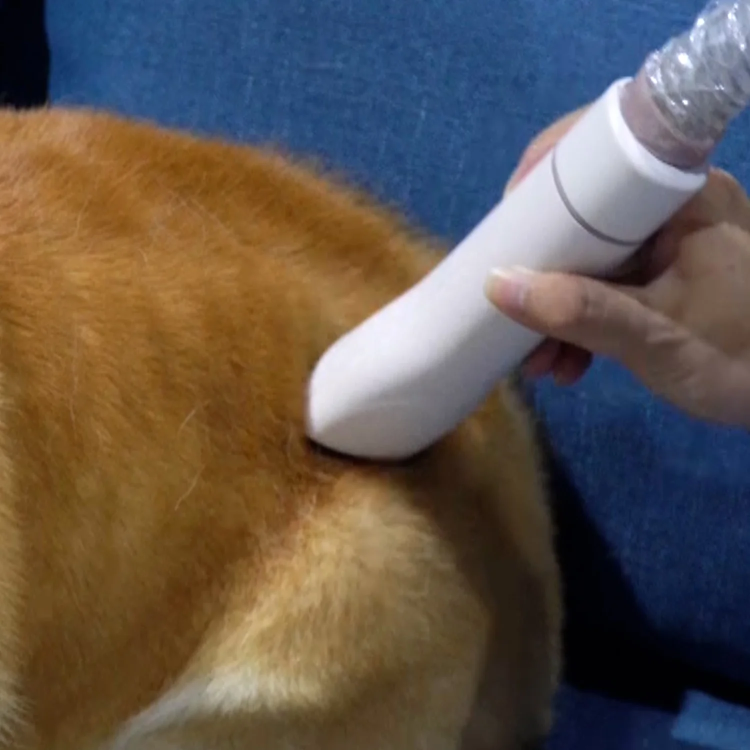 Pet-Friendly Grooming Kit | Vacuum Cleaner with Pet Hair Brush
