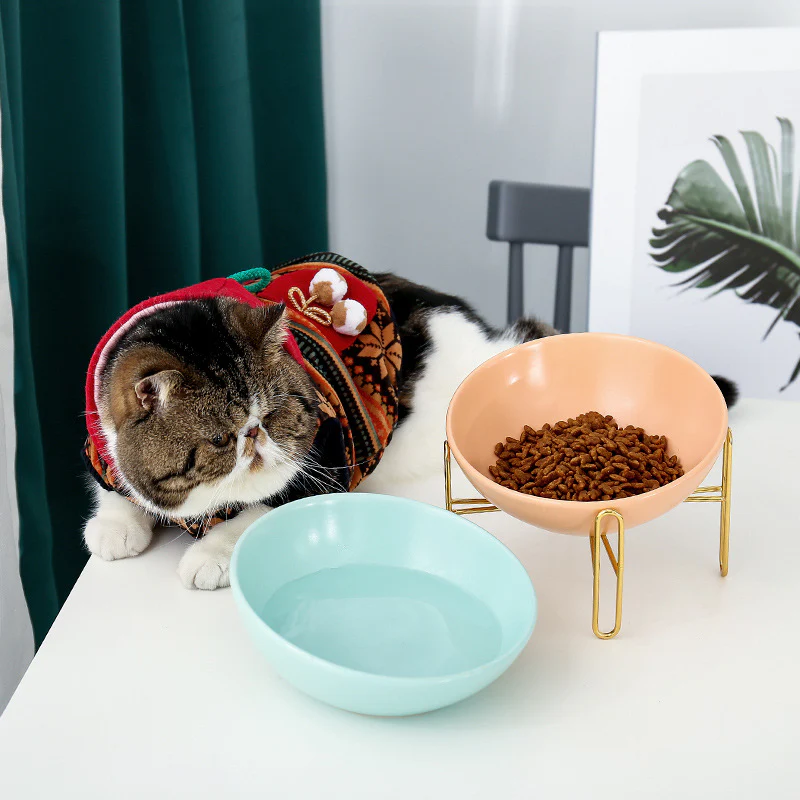 Elegant Pet Bowl for Stylish Feeding