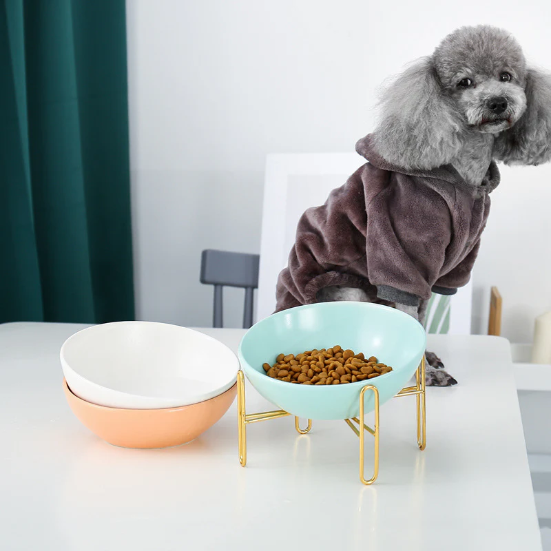 Elegant Pet Bowl for Stylish Feeding