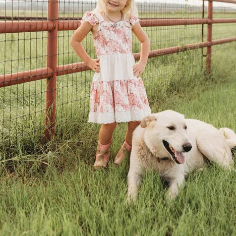 Shea Baby Plaid Bucking Horse Ruffle Dress