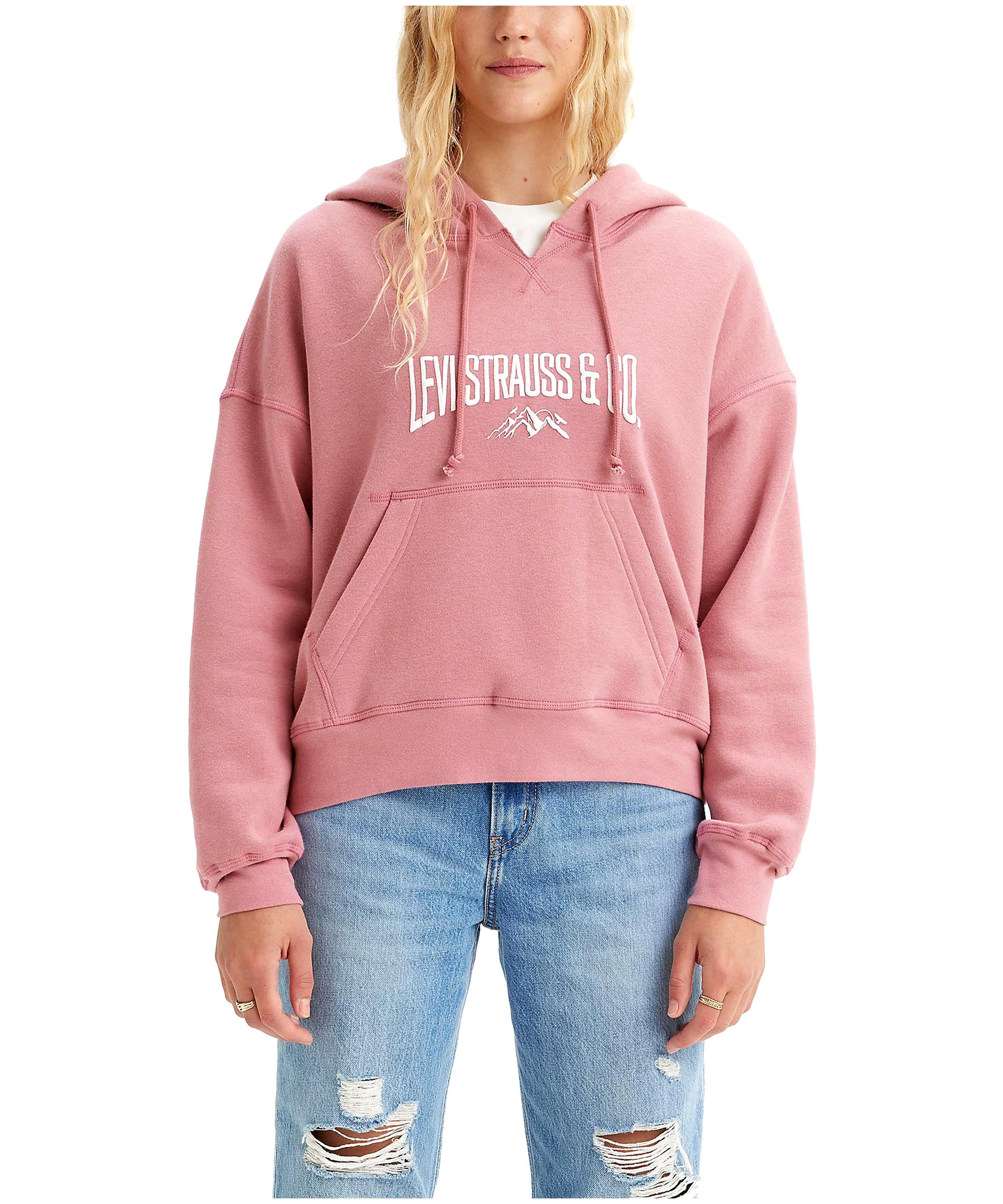 Levi's Women's Authentic Casual Graphic Hoodie