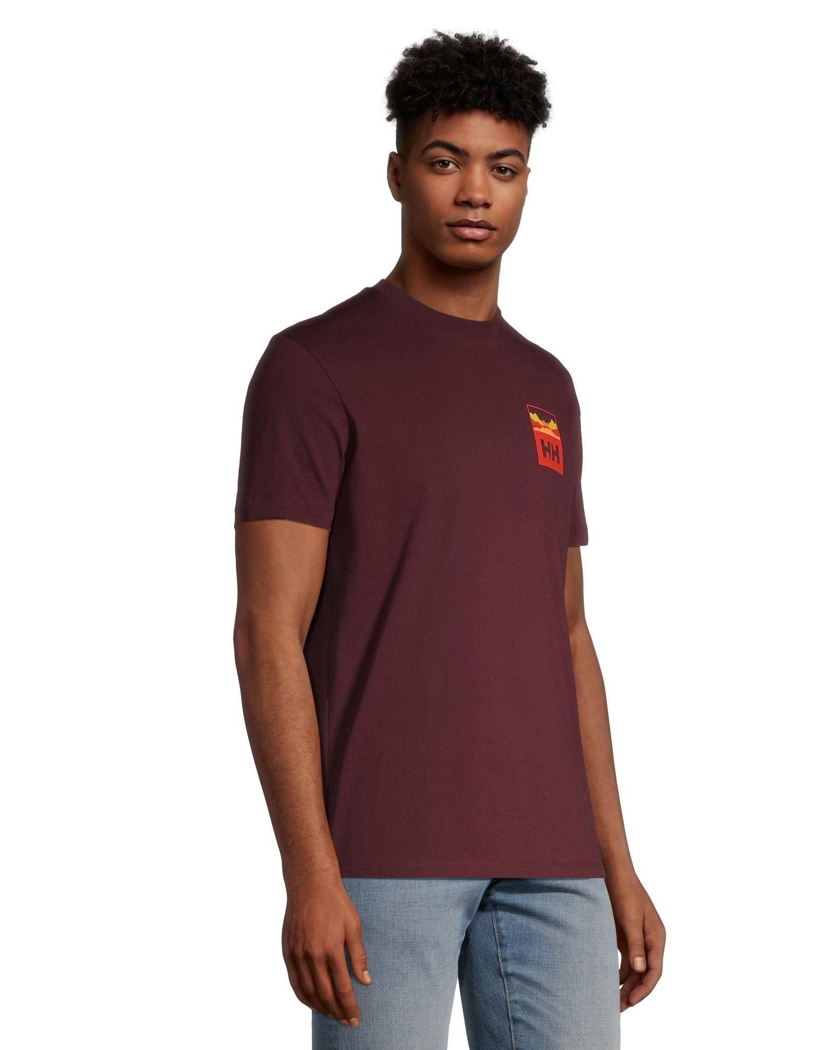 Helly Hansen Men's Back Mountain Graphic Short Sleeve T Shirt