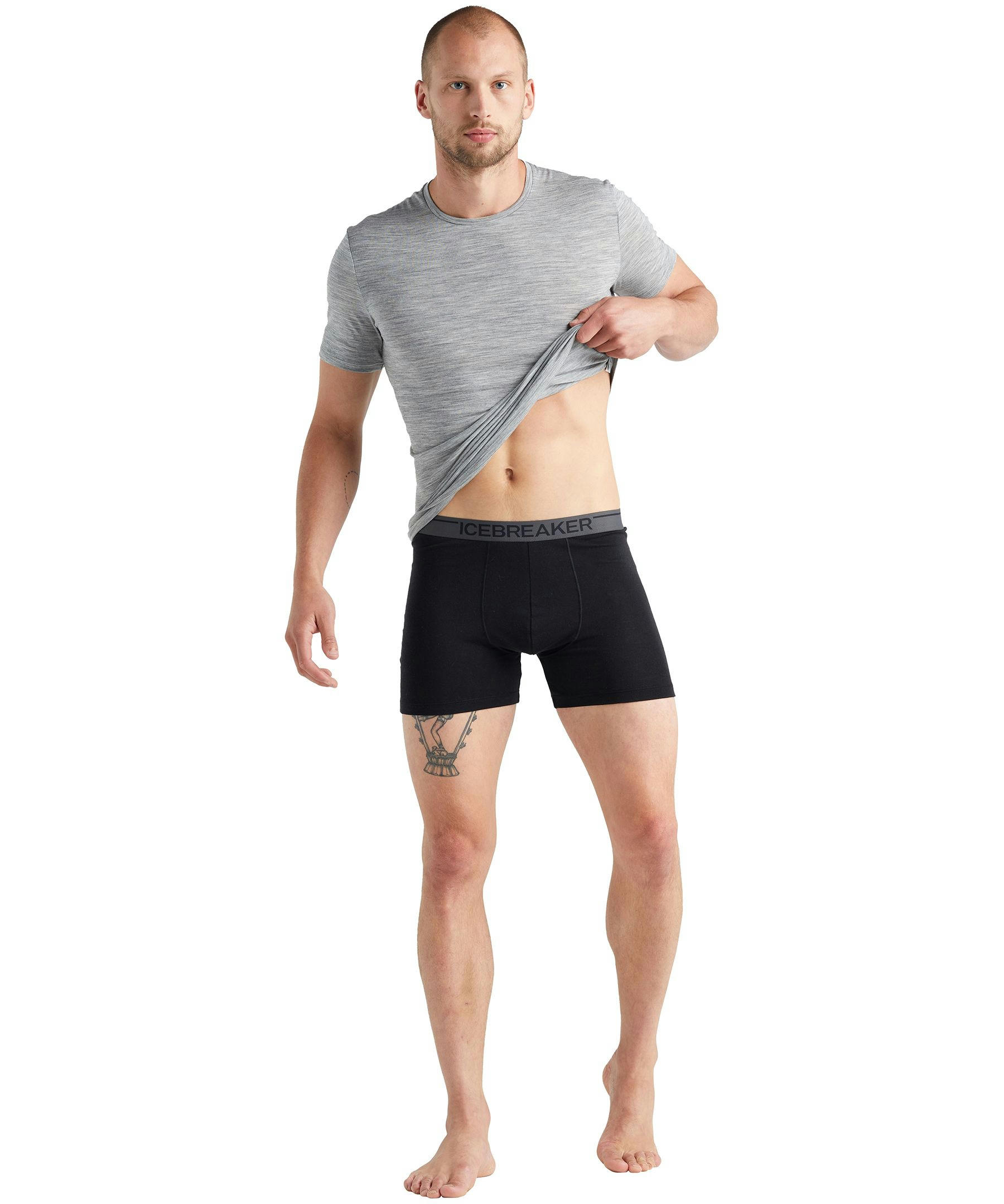 Icebreaker Men's Anatomica Boxers