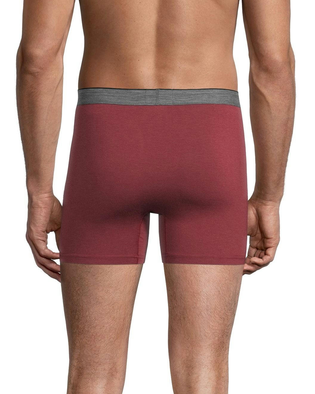Denver Hayes Men's Rayon from Bamboo 2-Pack Boxer Briefs