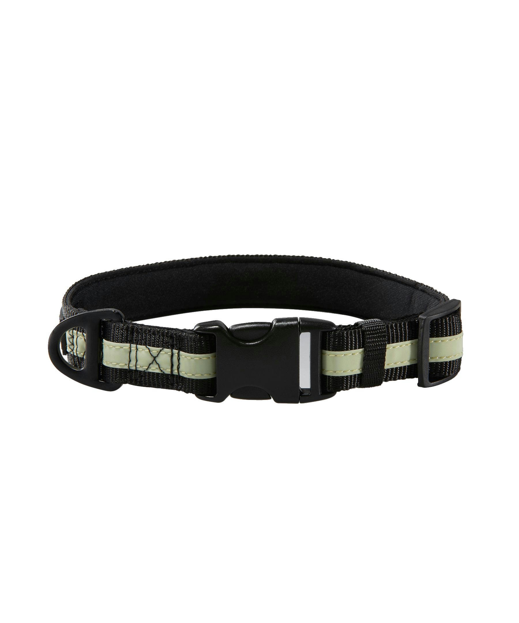 WindRiver Dog Collar with Vizlite