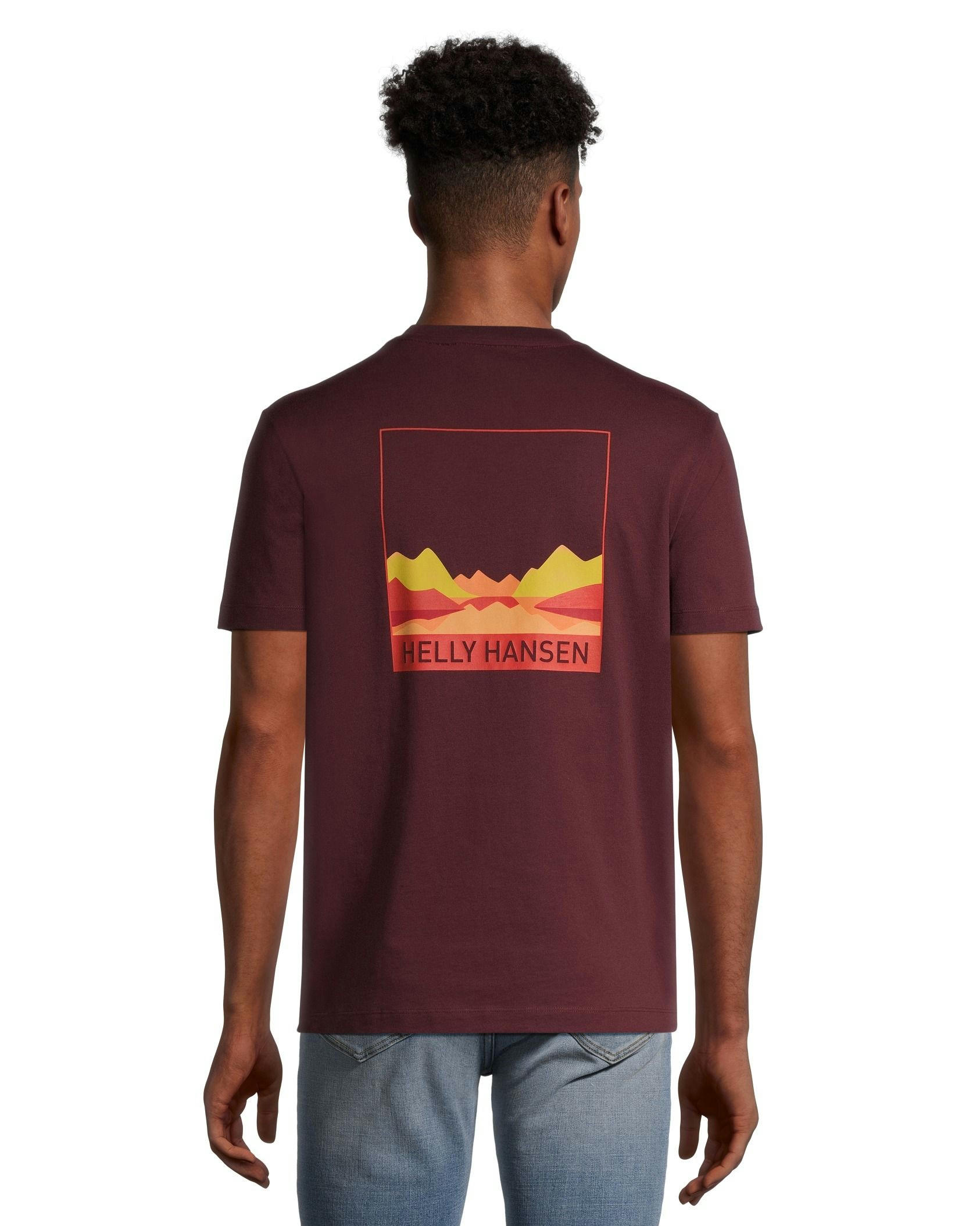 Helly Hansen Men's Back Mountain Graphic Short Sleeve T Shirt