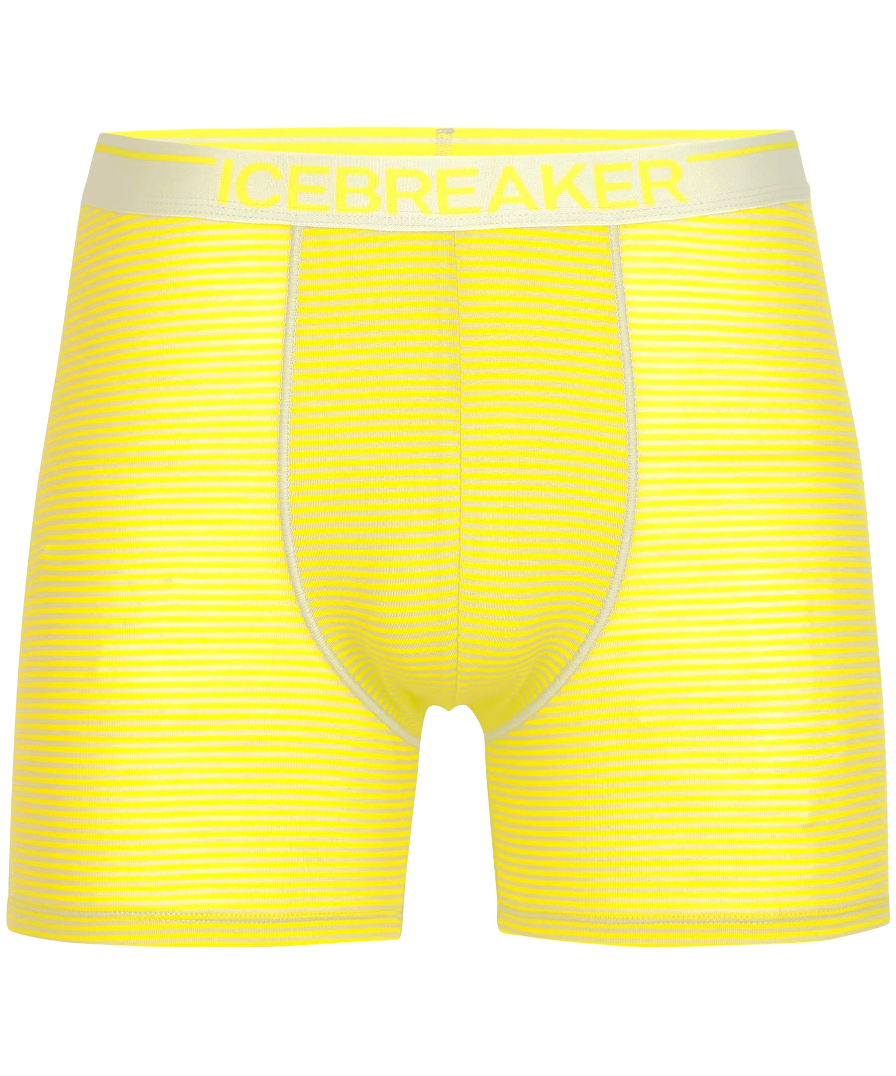 Icebreaker Men's Anatomica Boxers