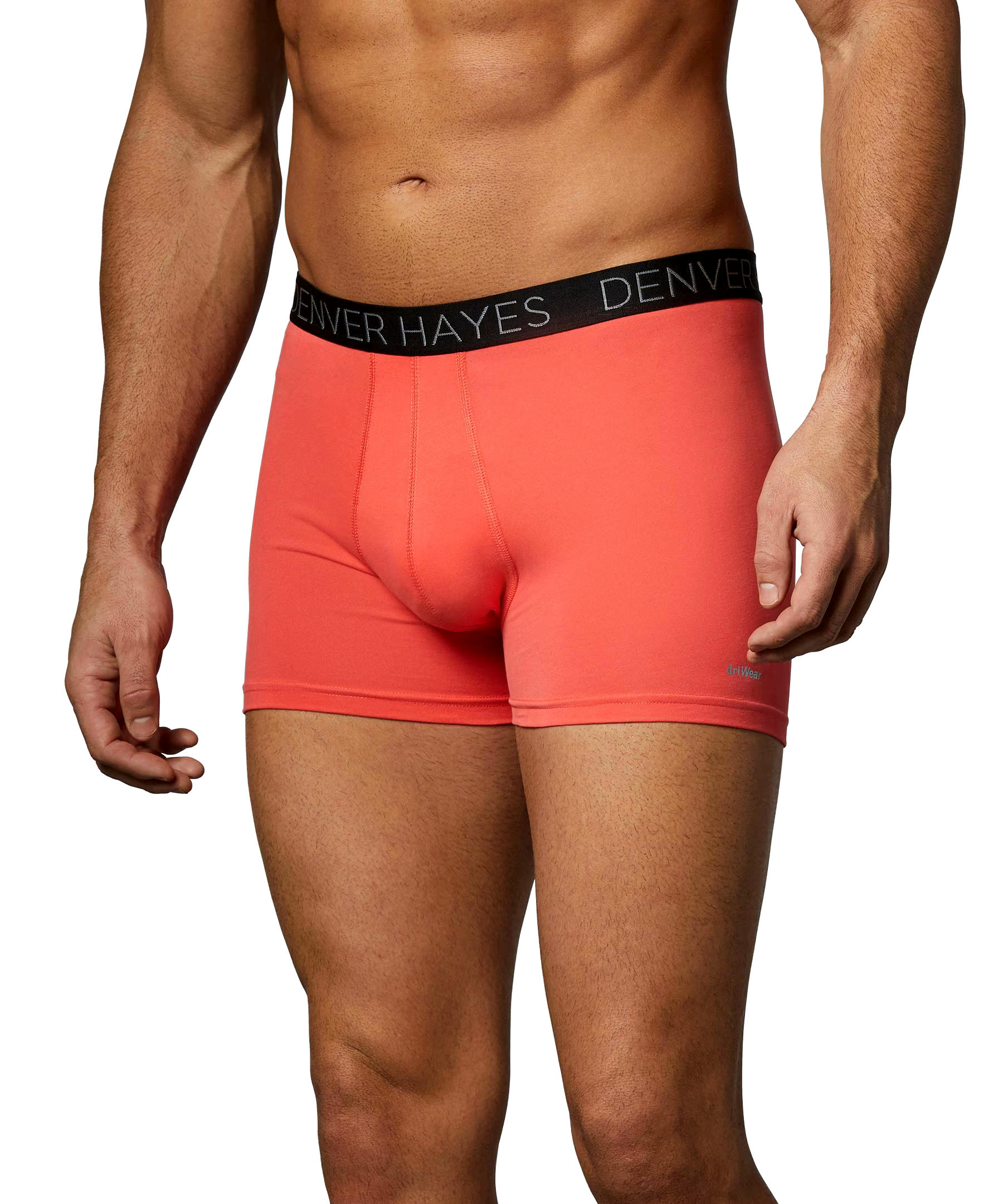 Denver Hayes Men's 2-Pack DriWear Trunk Brief