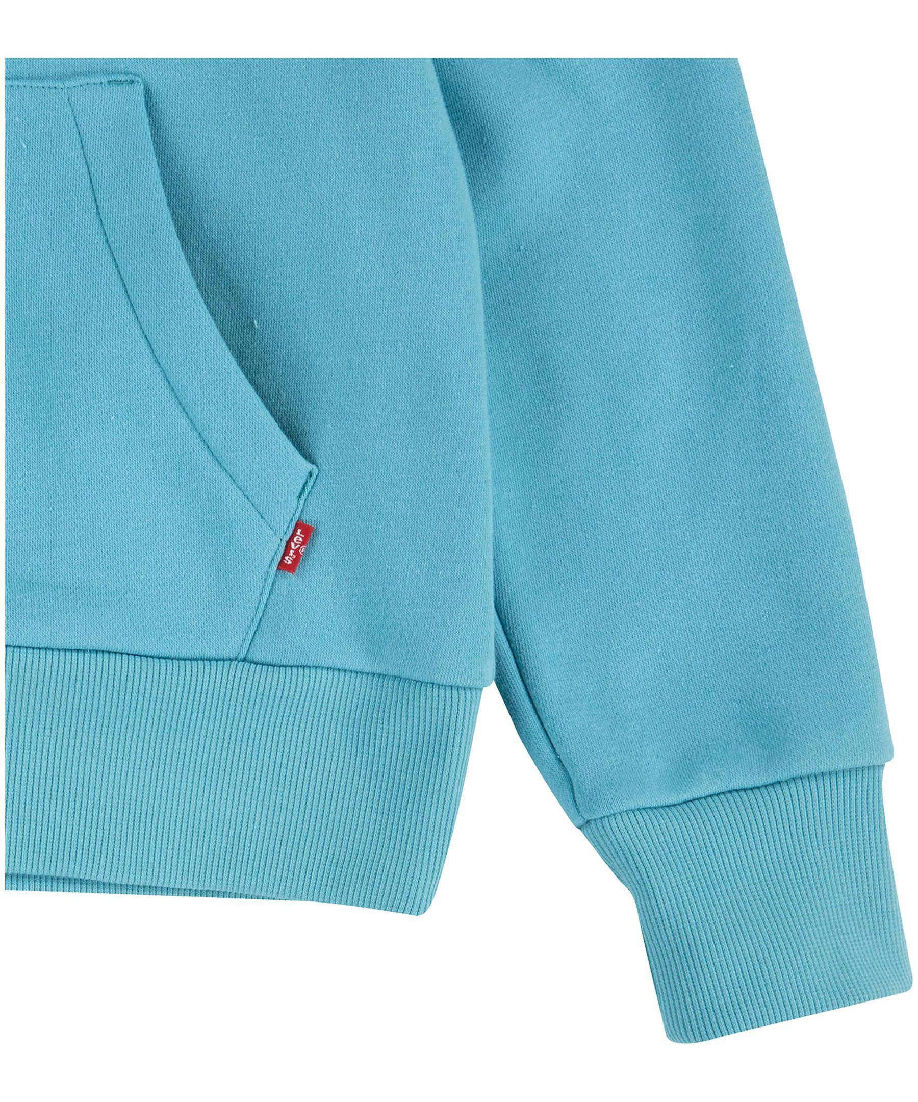 Levi's Kids' Unisex Batwing Graphic Fleece Pullover Hoodie