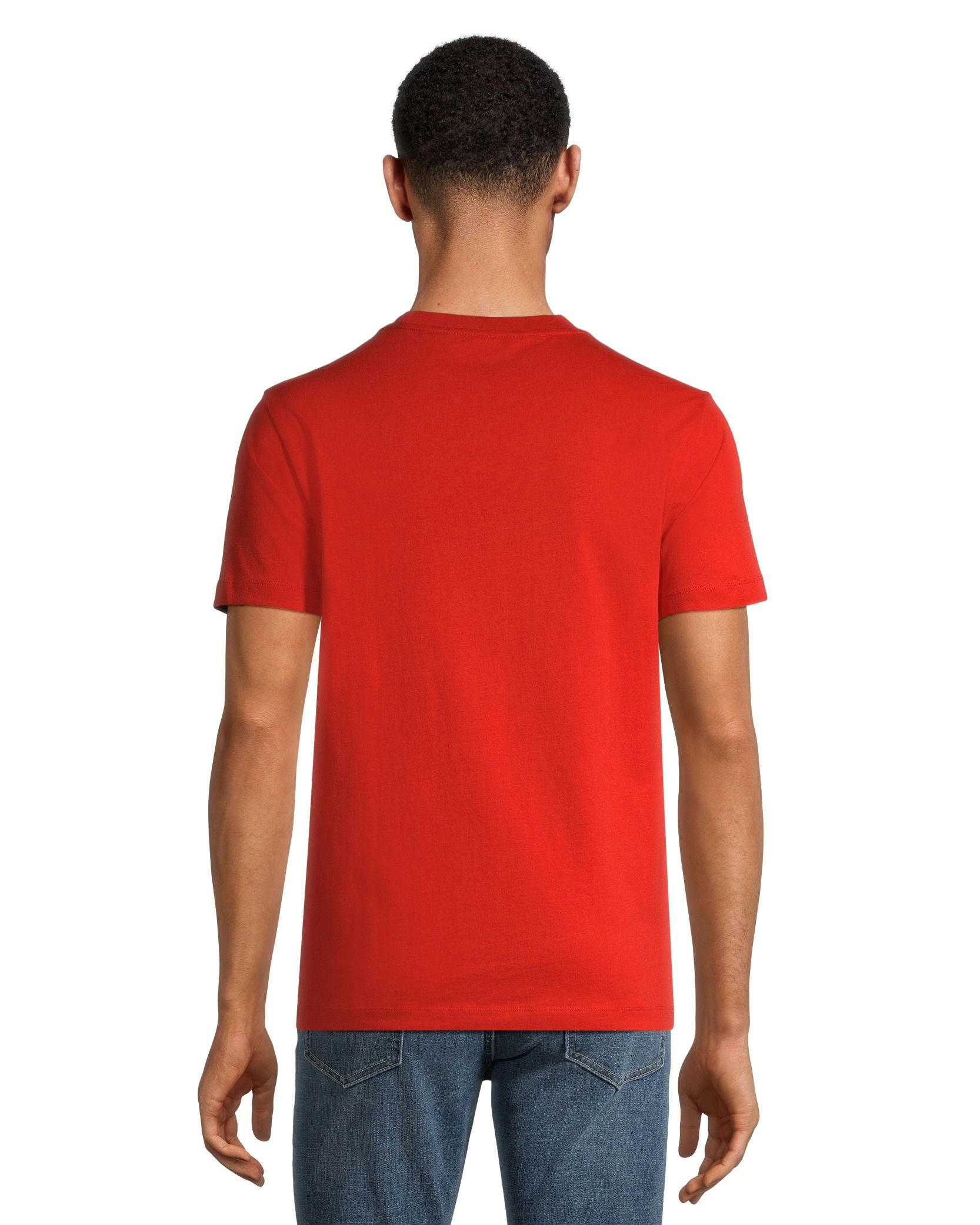 Helly Hansen Men's Mountain Graphic Short Sleeve T Shirt