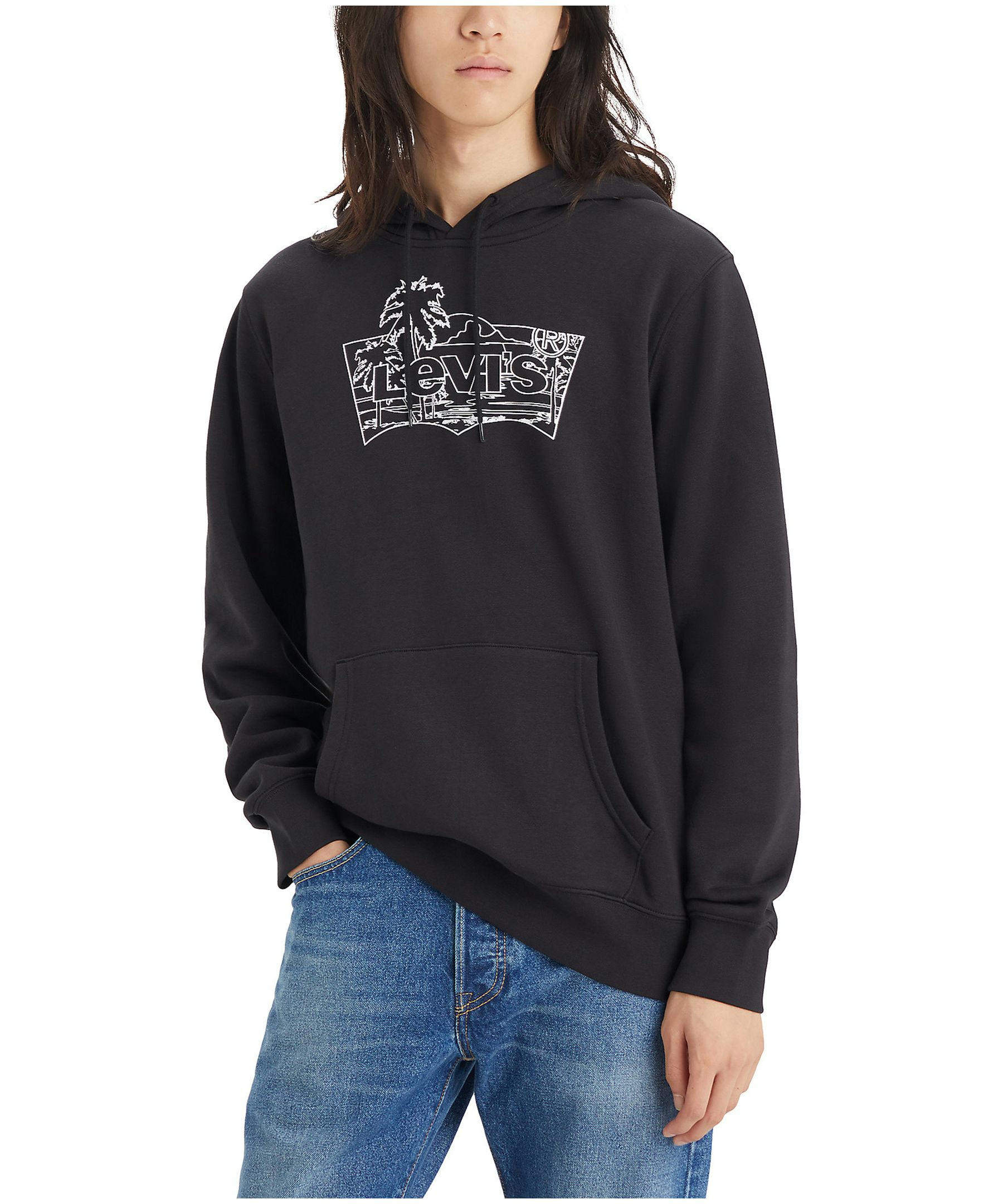 Levi's Men's Batwing Palm Graphic Hoodie