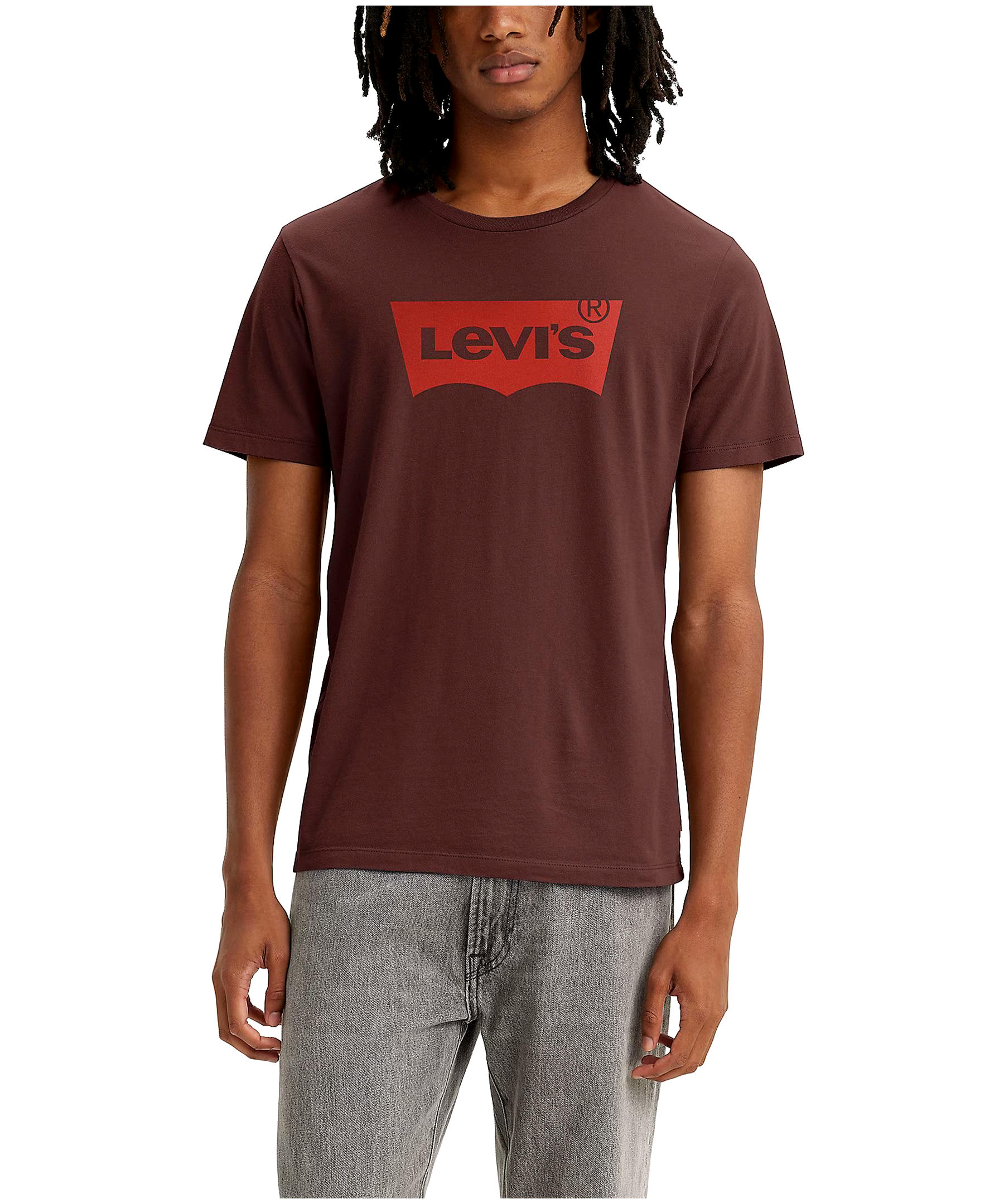 Levi's Men's Batwing Graphic Logo Standard Fit Short Sleeve T Shirt