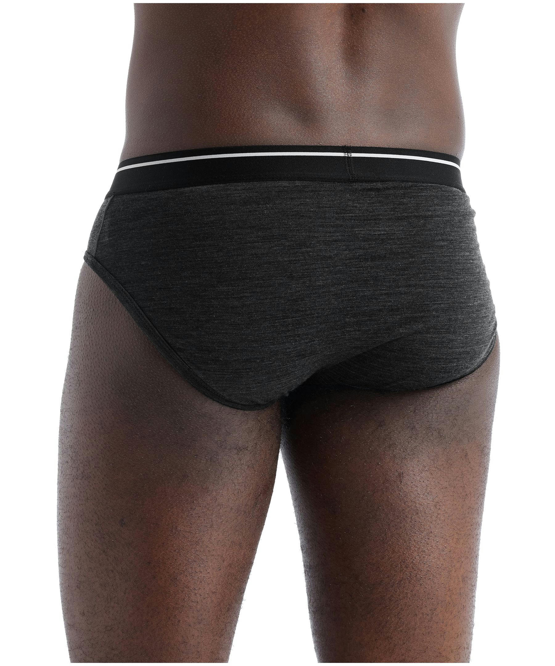 Icebreaker Men's Anatomica Briefs