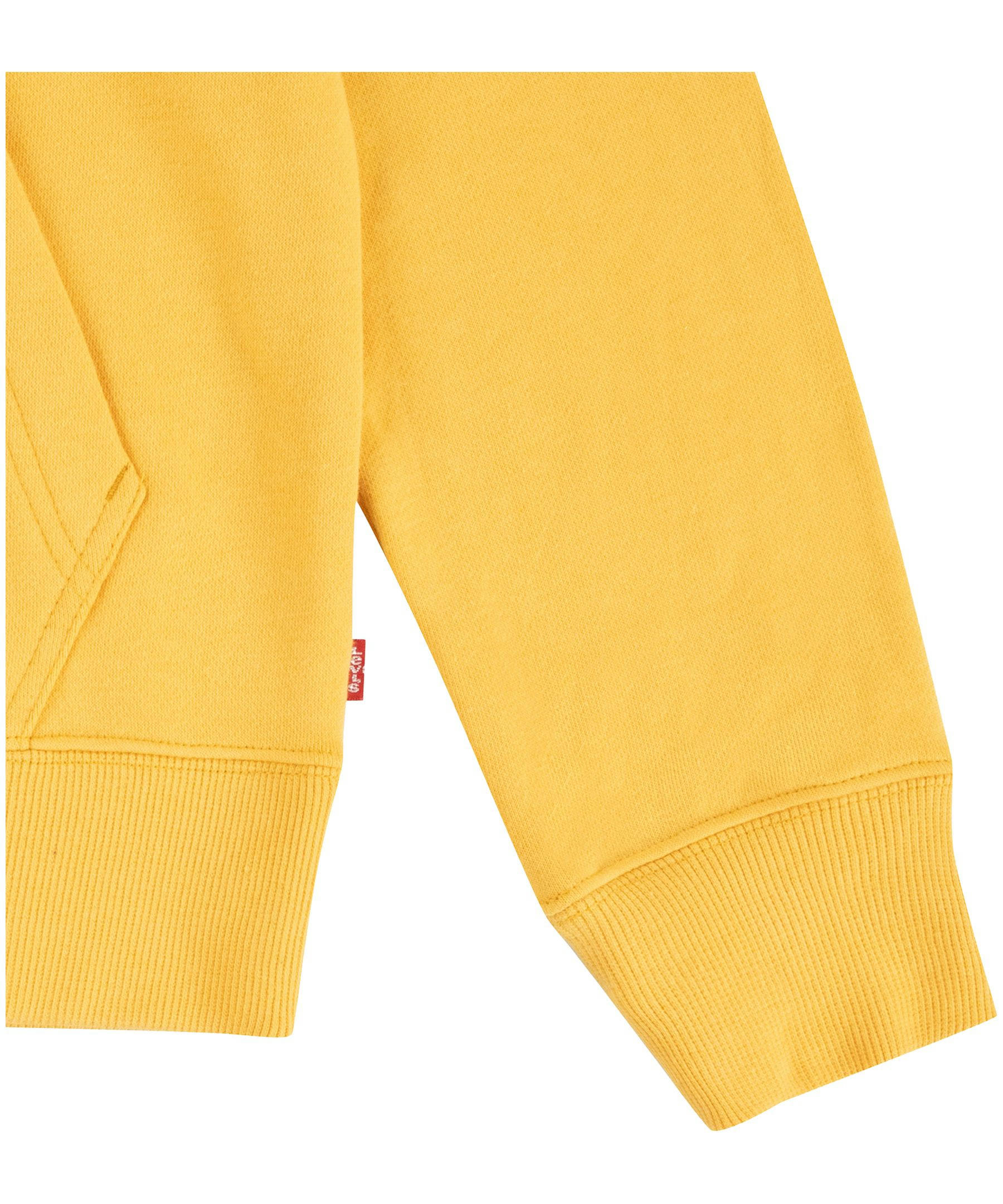 Levi's Kids' Unisex Batwing Graphic Pullover Hoodie