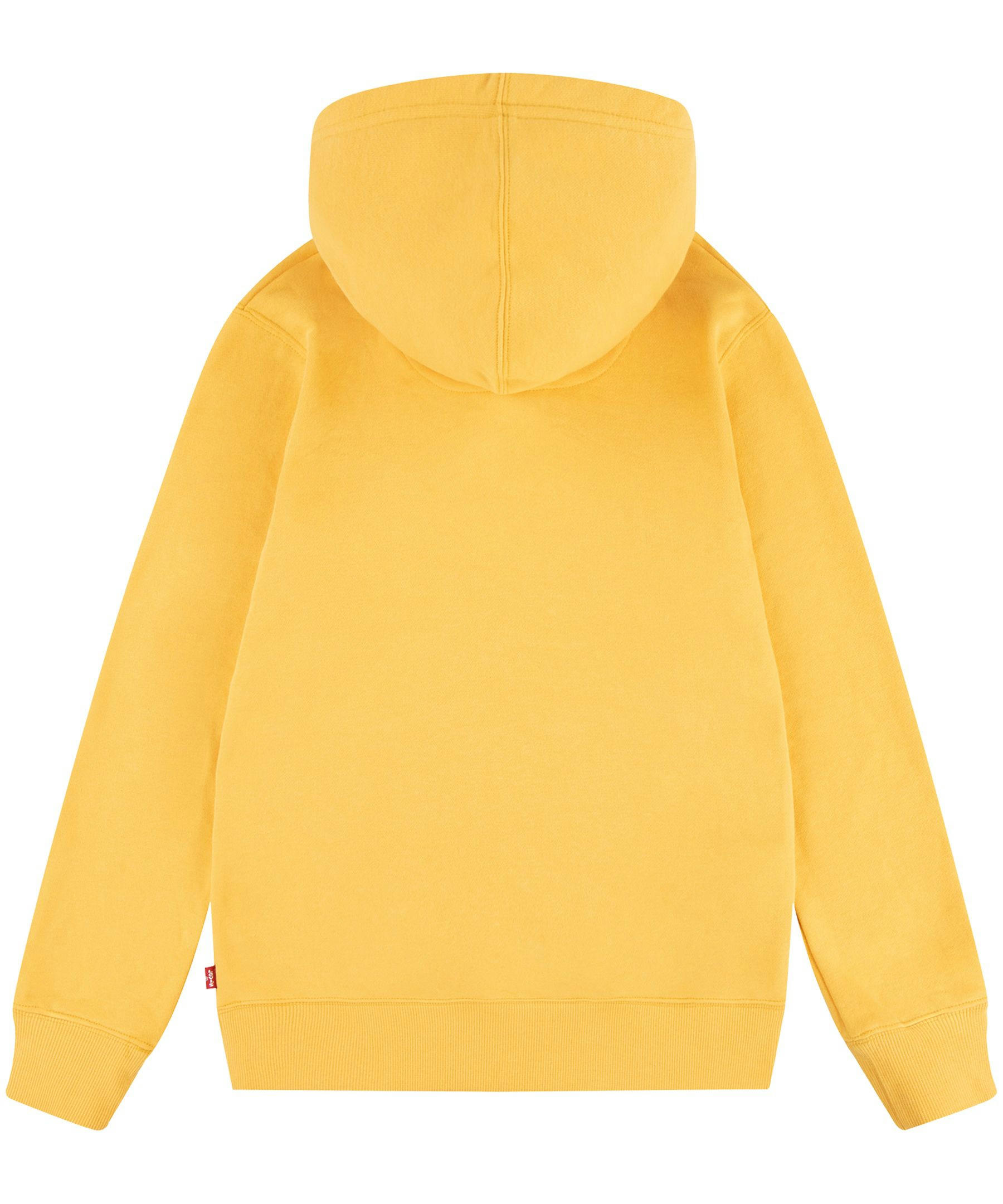 Levi's Kids' Unisex Batwing Graphic Pullover Hoodie