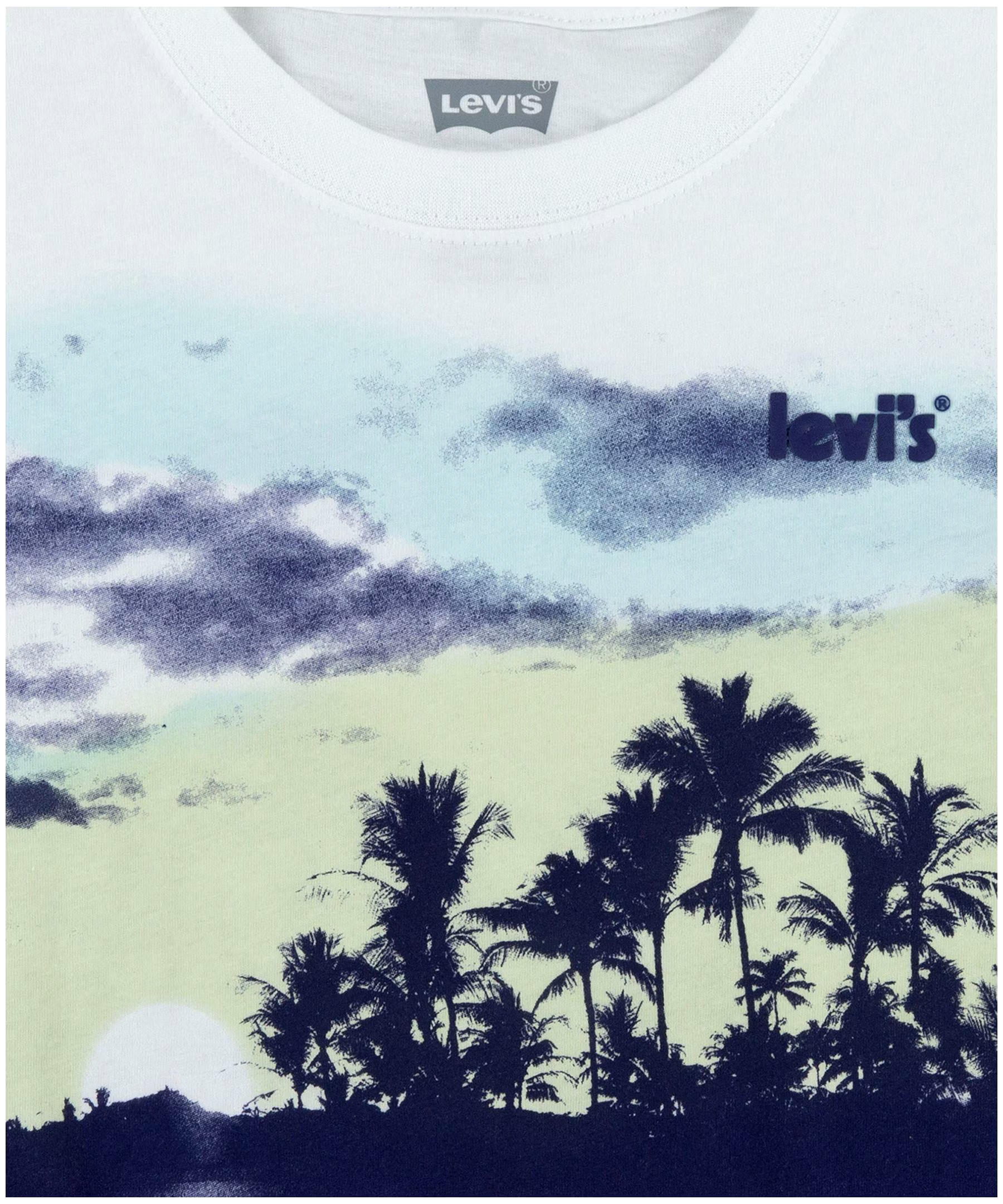 Levi's Youth Unisex Crew Neck Graphic T Shirt